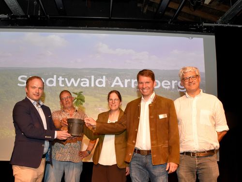 500.000 Baum Stadtwald1