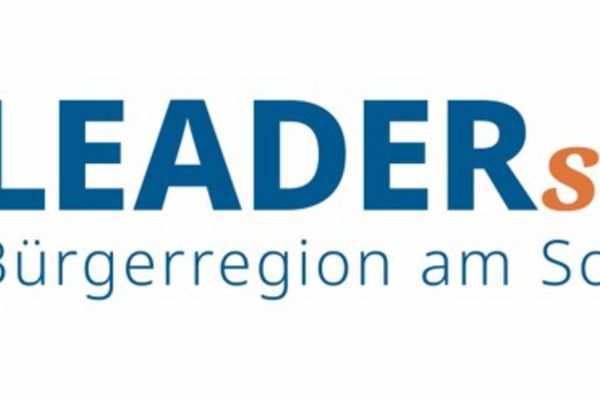 Logo LEADERsein!