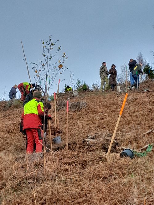 Pflanzaktion mit WaldLokal (2)