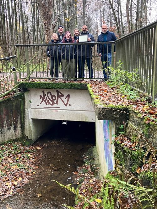 Hochwasser Smart City2