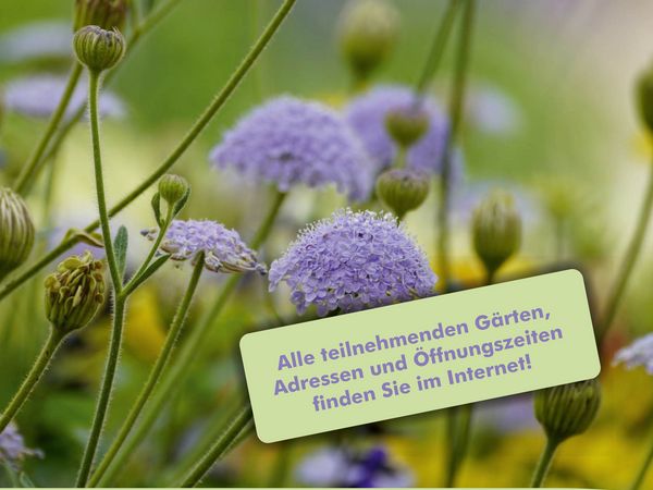 Plakat - Offene Gärten im Ruhrbogen 2025