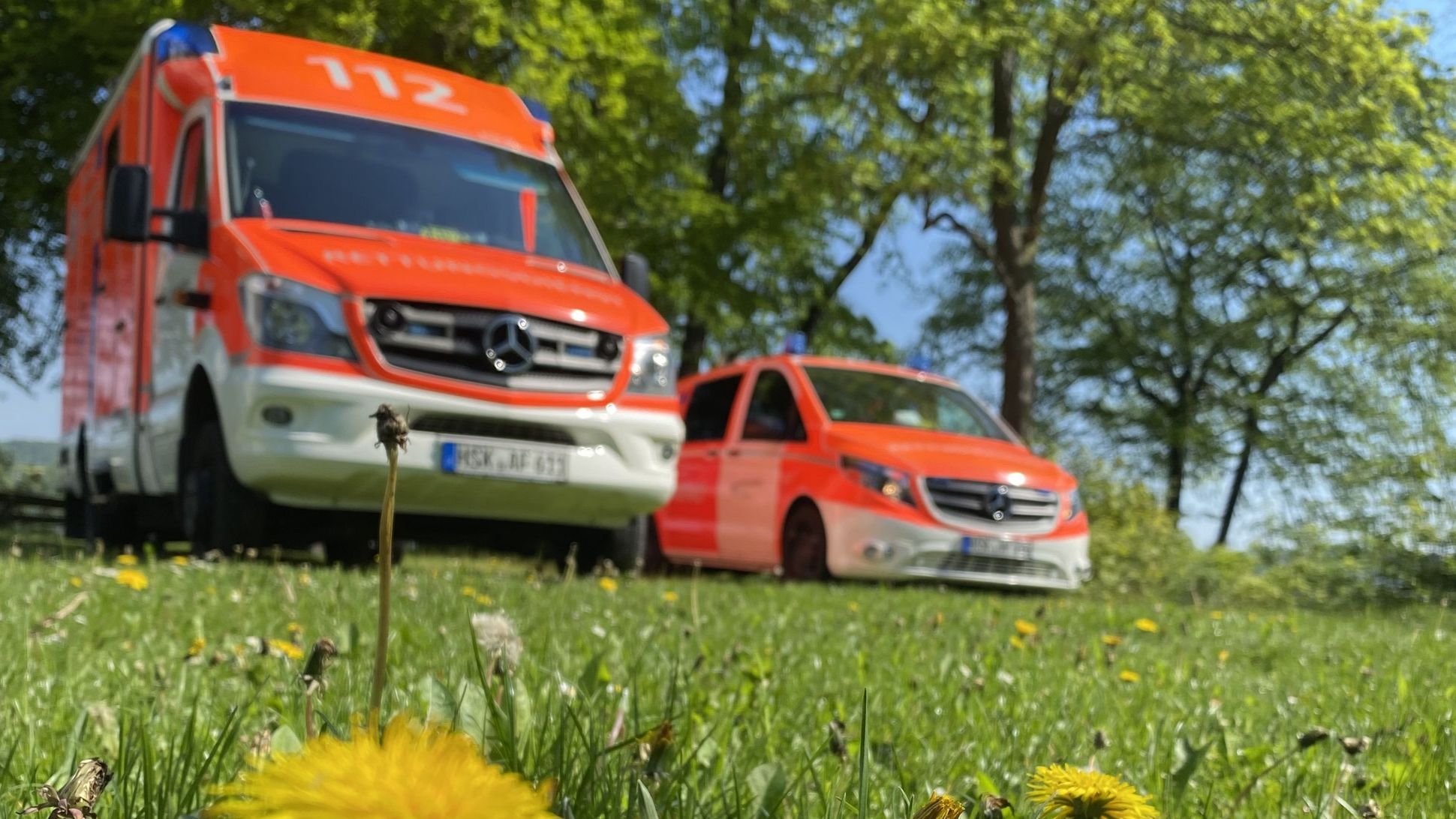 Ein Rettungswagen und ein Notarzteinsatzfahrzeug auf einer Wiese. Im Vordergrund ein gelber Löwenzahn