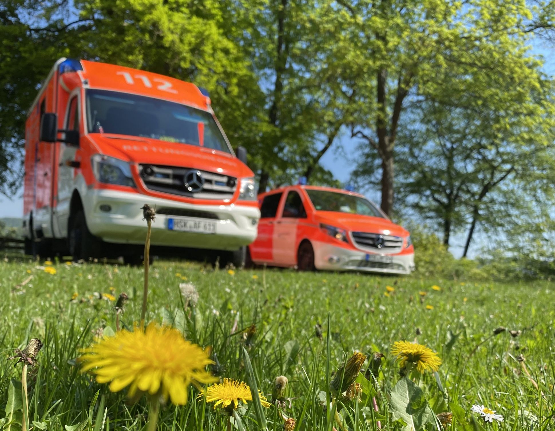 Ein Rettungswagen und ein Notarzteinsatzfahrzeug auf einer Wiese. Im Vordergrund ein gelber Löwenzahn