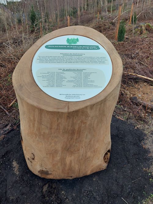 Arboretum Eröffnung 2