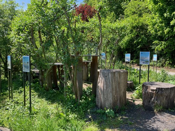 Natur-Erlebnis-Raum1