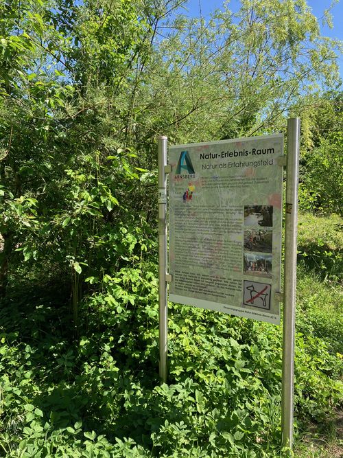 Natur-Erlebnis-Raum4