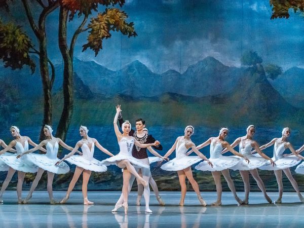 Ballett Schwanensee 11. März 2025