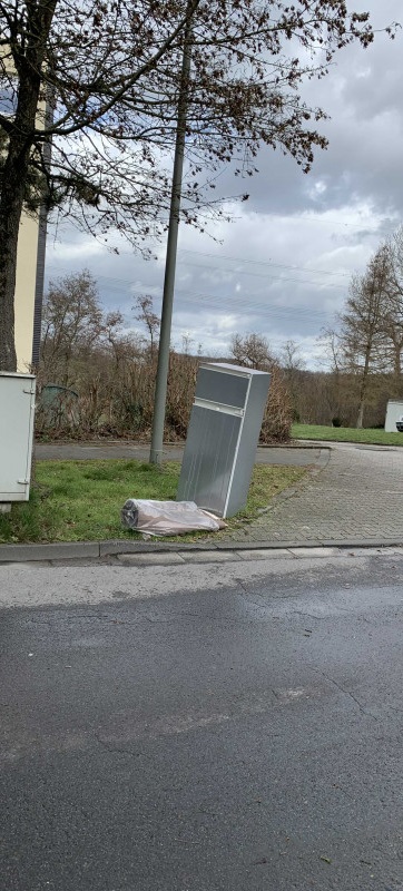 Wilde Müllkippe 2